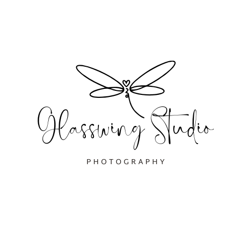 Glasswing Studio