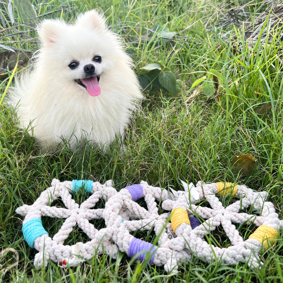 Ship Wheel Dog Toy